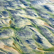 NATURES-GRAPHICS.jpg