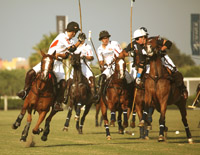 polo02.jpg